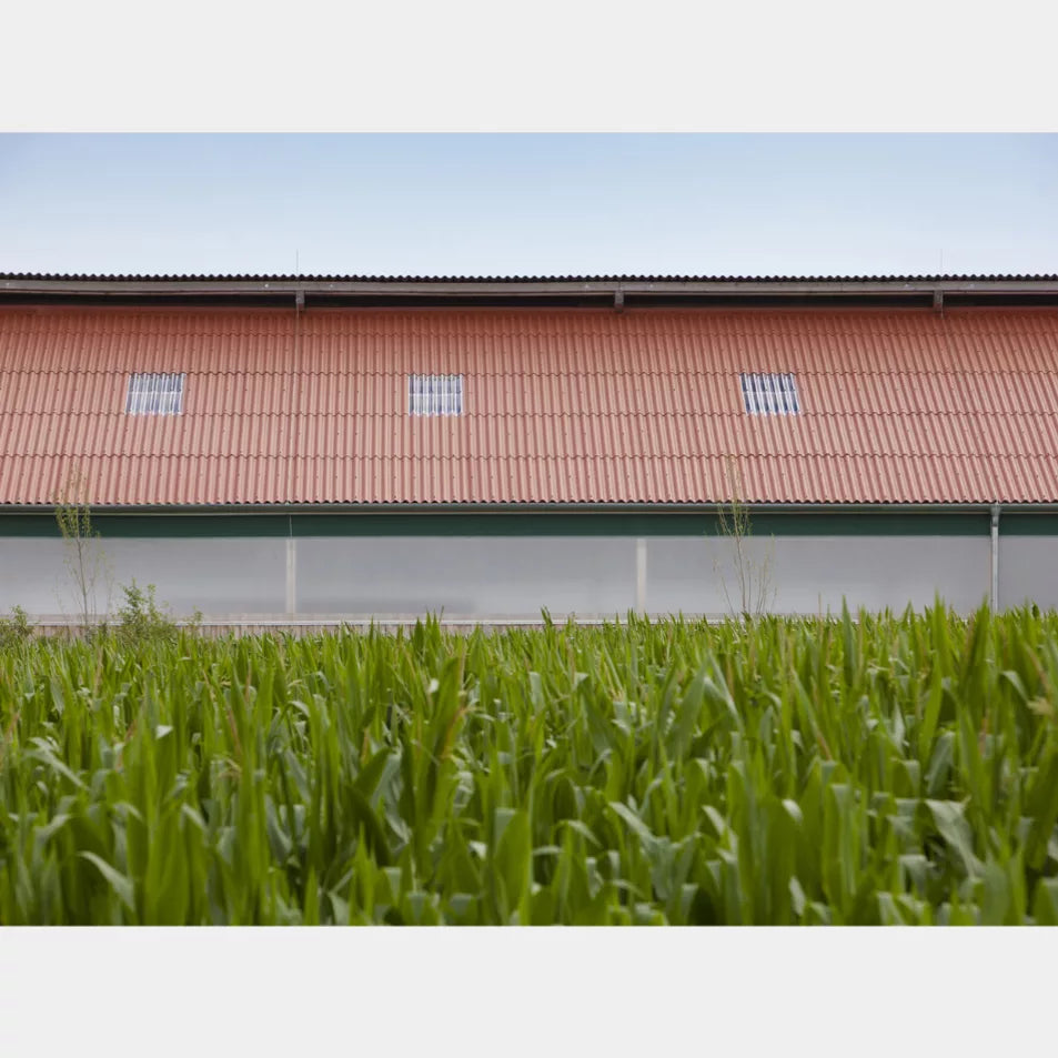 Golfplaat Baksteen Rood Eternit Ecolor 51/177