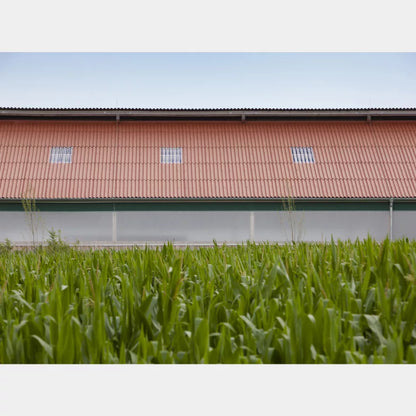 Golfplaat Baksteen Rood Eternit Ecolor 51/177